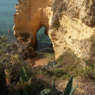 斗牛娱乐平台app下载